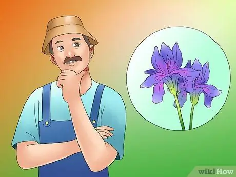 Дедхед и Ирис Шаг 5 Дедхед и Ирис Шаг 5