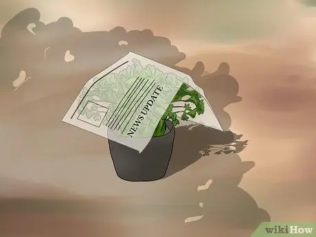 Разделите растение флокса Шаг 6 Разделите растение флокса Шаг 6