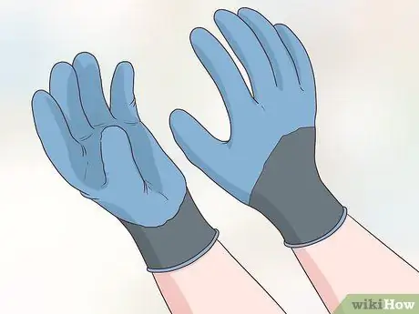 Prune Nyssa Sylvatica Шаг 4 Prune Nyssa Sylvatica Шаг 4