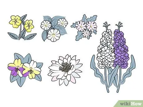 Посадить лунный сад Шаг 4 Посадить лунный сад Шаг 4