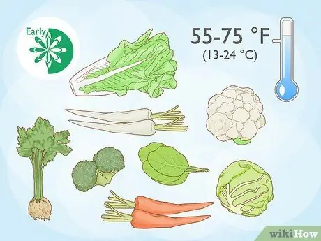 Вырастить весенний сад Шаг 7