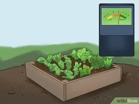 Купите органические сухие удобрения, шаг 2 Купите органические сухие удобрения, шаг 2