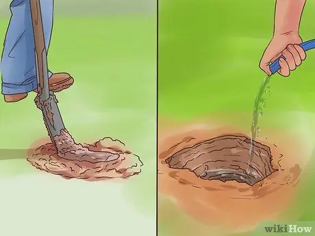 Посадить Mondo Grass Step 2 Посадить Mondo Grass Step 2