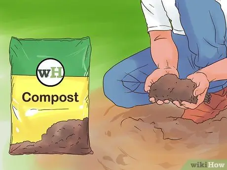 Посадите Mondo Grass Step 3 Посадите Mondo Grass Step 3