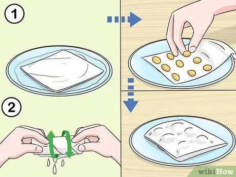 Выращивание кумквата, шаг 1 Выращивание кумквата, шаг 1