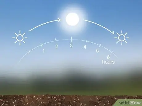 Посадить горькую дыню Шаг 2 Посадить горькую дыню Шаг 2