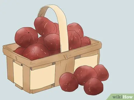 Выращивание инжира Шаг 10 Выращивание инжира Шаг 10