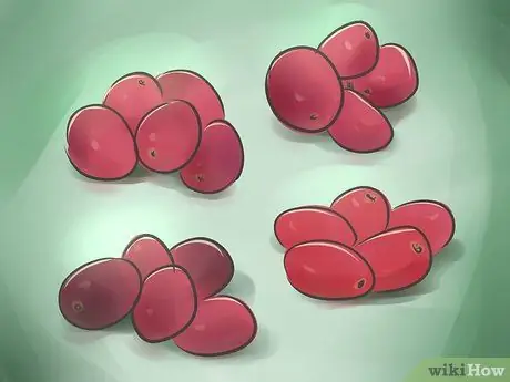 Выращивание клюквы, шаг 1 Выращивание клюквы, шаг 1