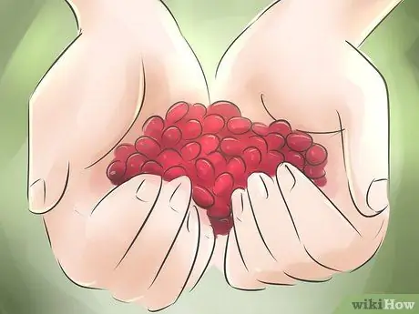Выращивание клюквы Шаг 11 Выращивание клюквы Шаг 11