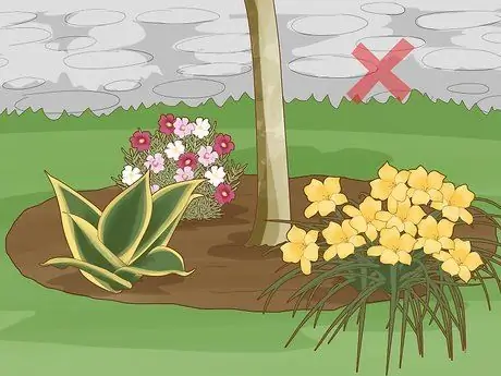 Как предотвратить плодоношение вишневого дерева Шаг 7 Как предотвратить плодоношение вишневого дерева Шаг 7