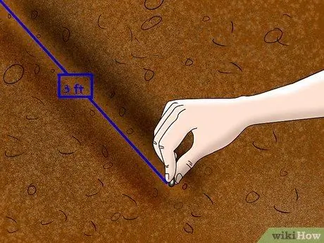 Выращивание и сбор кукурузы Glass Gem Step 3 Выращивание и сбор кукурузы Glass Gem Step 3