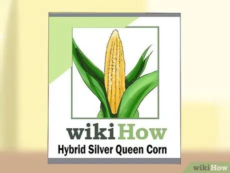 Выращивание кукурузы Silver Queen, шаг 1 Выращивание кукурузы Silver Queen, шаг 1