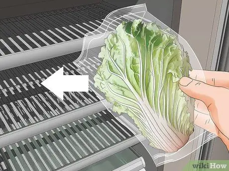 Выращивание капусты Напа Шаг 18