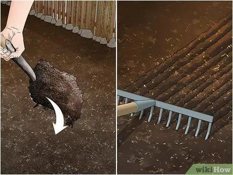 Выращивание капусты Напа Шаг 4