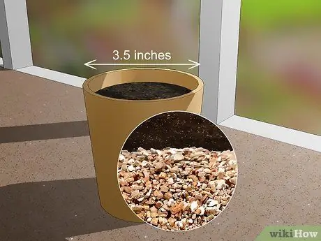 Выращивание Oca, шаг 2