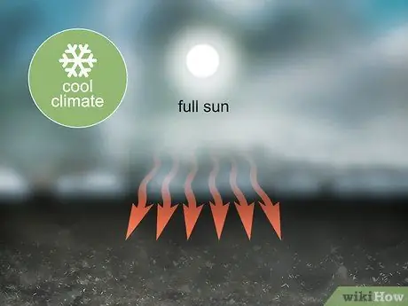 Выращивание Oca, шаг 4