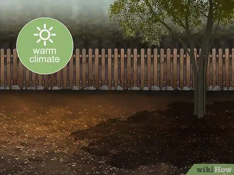 Выращивание Oca, шаг 5