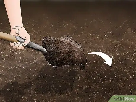 Выращивание Oca, шаг 7