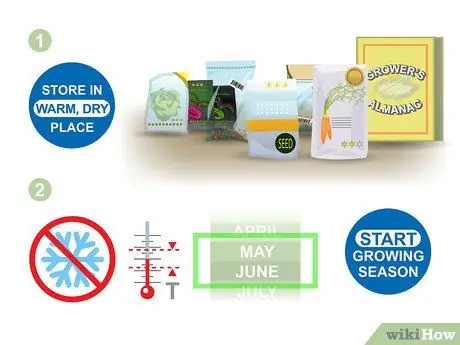 Выращивание двухлетних овощей Шаг 01