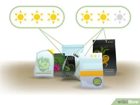 Выращивание двухлетних овощей Шаг 02