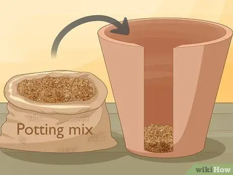 Посадить денежные деревья Шаг 11