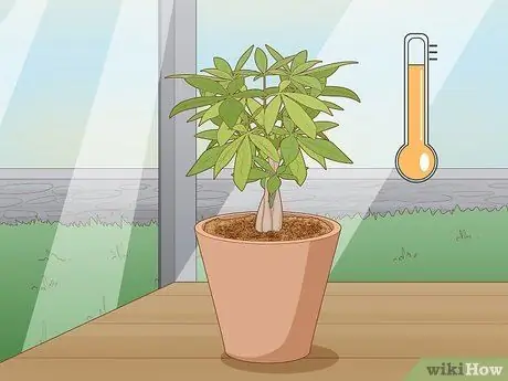 Сажать денежные деревья Шаг 20