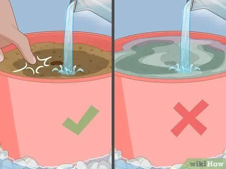 Посадить денежные деревья Шаг 6