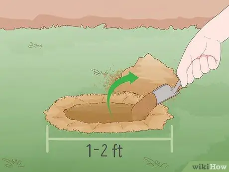 Выращивание кустов самшита Шаг 12