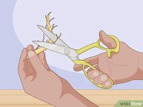 Сделайте корневые черенки Шаг 5