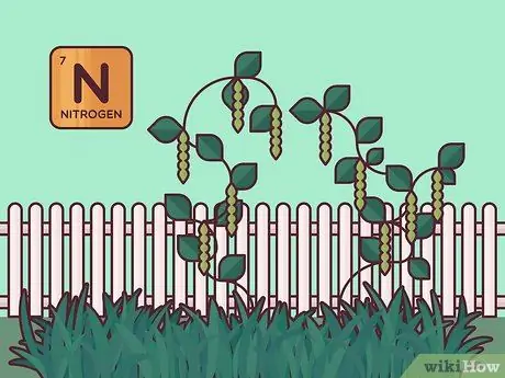 Покровные растения Шаг 3