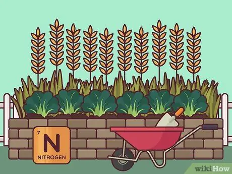 Покровные растения Шаг 5