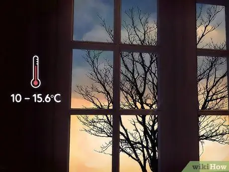 Зимующие тропические растения Шаг 1