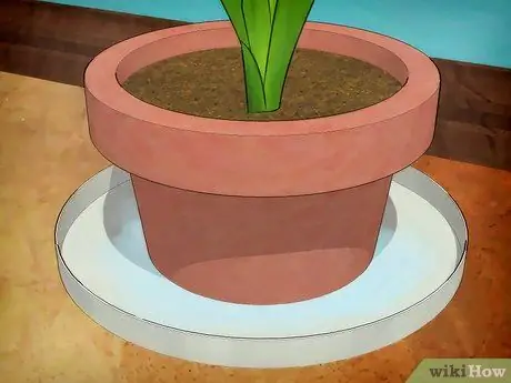 Чистка пробкового пола Шаг 9