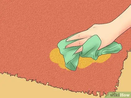 Clean Shag Carpet Step 10 Clean Shag Carpet Step 10