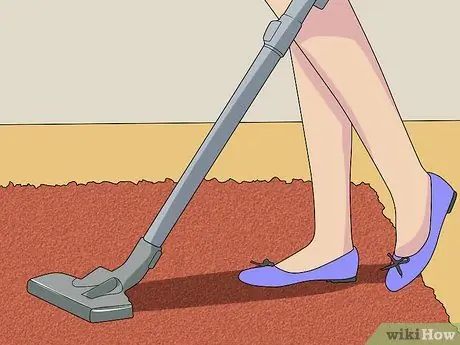 Clean Shag Carpet Step 11 Clean Shag Carpet Step 11