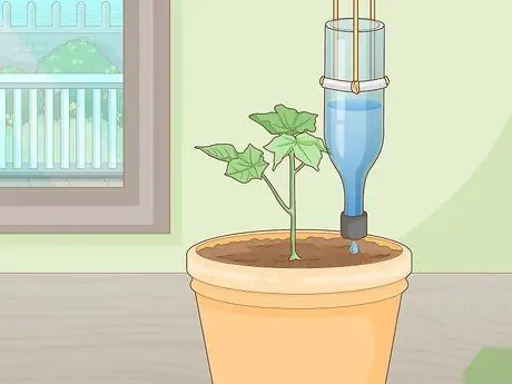 Стеклянные бутылки Upcycle Step 11 Стеклянные бутылки Upcycle Step 11