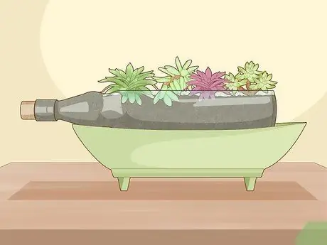 Стеклянные бутылки Upcycle Step 8 Стеклянные бутылки Upcycle Step 8