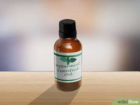 Борьба с блохами с помощью мяты, шаг 2