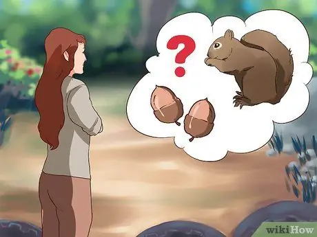 Сделать ловушку для белки Шаг 2