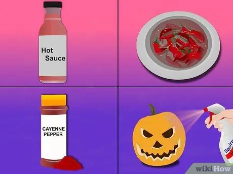Не давайте белкам есть тыквы Шаг 3