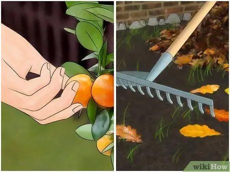 Контрольные мыши, шаг 12 Контрольные мыши, шаг 12