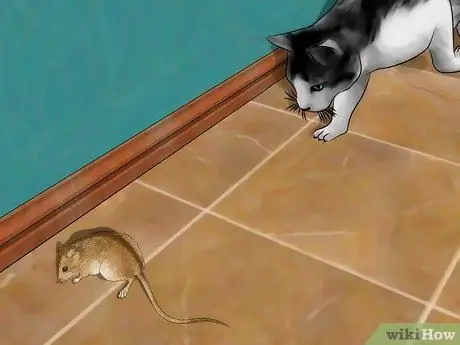 Контрольные мыши, шаг 4 Контрольные мыши, шаг 4