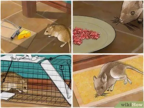 Контрольные мыши, шаг 8 Контрольные мыши, шаг 8