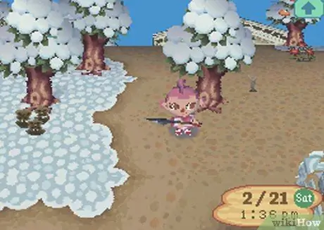 Получите золотую лопату в Animal Crossing Wild World, шаг 2 Получите золотую лопату в Animal Crossing Wild World, шаг 2