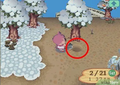 Получите золотую лопату в Animal Crossing Wild World, шаг 3 Получите золотую лопату в Animal Crossing Wild World, шаг 3