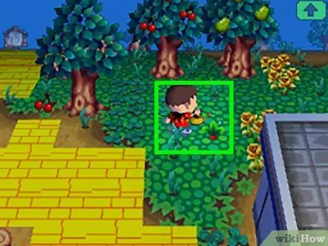 Получите красную репу в Animal Crossing Шаг 5