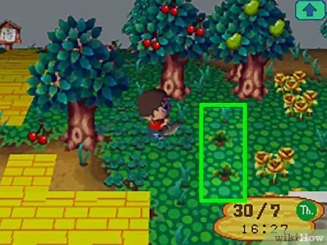 Получите красную репу в Animal Crossing Шаг 6