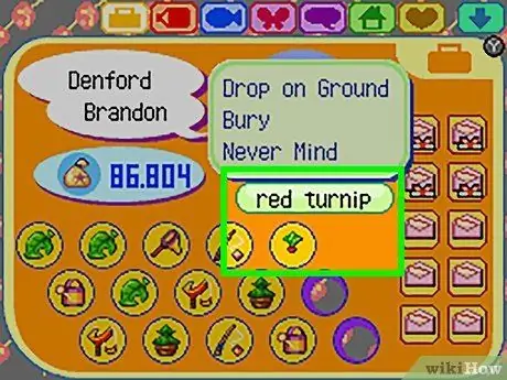 Получите красную репу в Animal Crossing Шаг 7