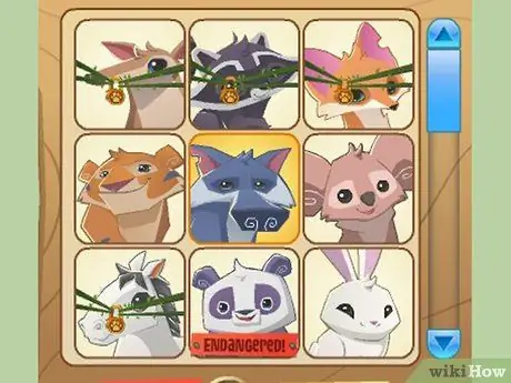 Будьте знамениты в Animal Jam, шаг 4 Будьте знамениты в Animal Jam, шаг 4