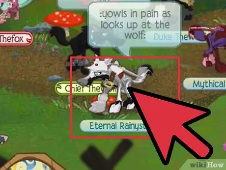 Будьте знамениты на Animal Jam, шаг 5 Будьте знамениты на Animal Jam, шаг 5